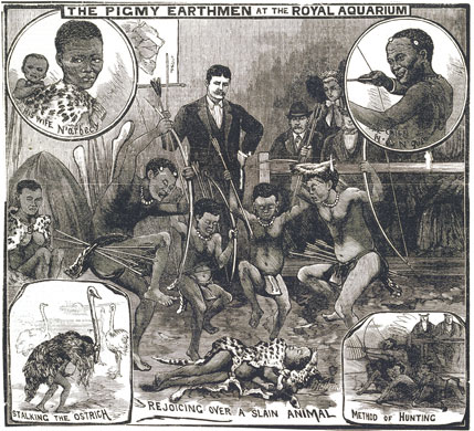 Endless Forms: Charles Darwin, natural science and the visual arts