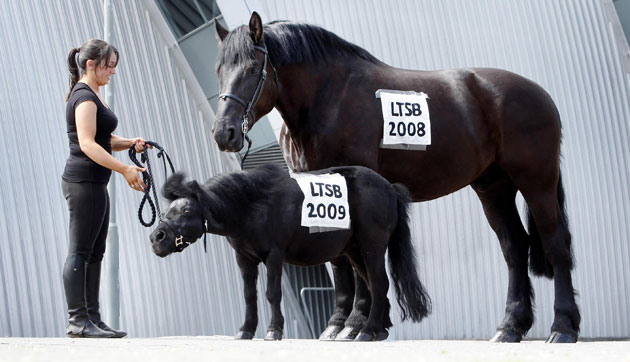 Week in Business: Lloyds Banking Group AGM