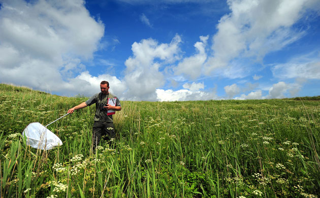 National Trust Survey:  Lower Predannack Farm, The Lizard, Cornwall