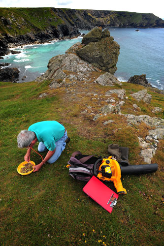 National Trust Survey:  Lower Predannack Farm, The Lizard, Cornwall