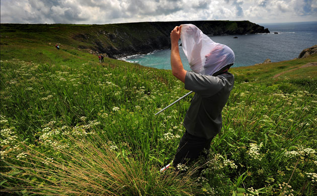 National Trust Survey:  Lower Predannack Farm, The Lizard, Cornwall
