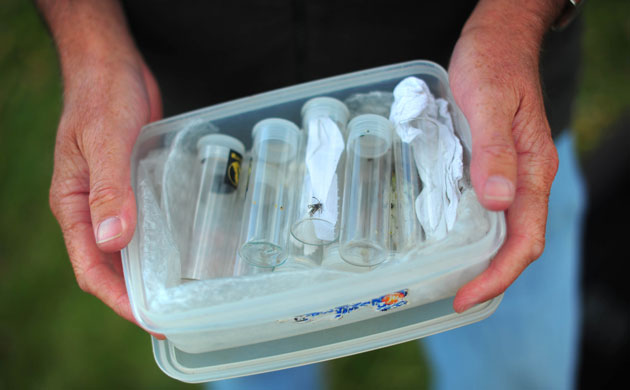 National Trust Survey:  Lower Predannack Farm, The Lizard, Cornwall