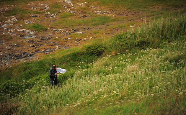 National Trust Survey:  Lower Predannack Farm, The Lizard, Cornwall