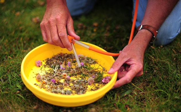 National Trust Survey:  Lower Predannack Farm, The Lizard, Cornwall