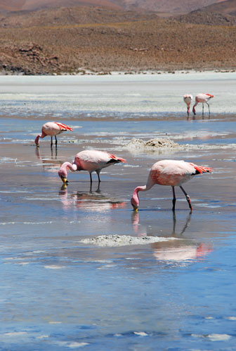 In Pictures: Unity: Maria Nguyen