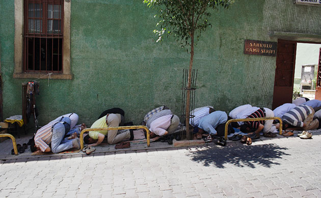 In Pictures: Unity: Cate Warde