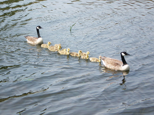 In Pictures: Unity: Andrew Walker