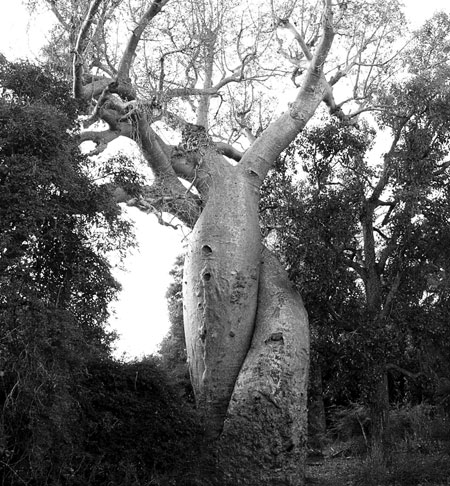 In Pictures: Unity: Goran Jovetic