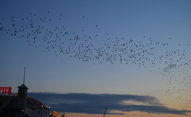 In Pictures: Unity: Allegra Drury