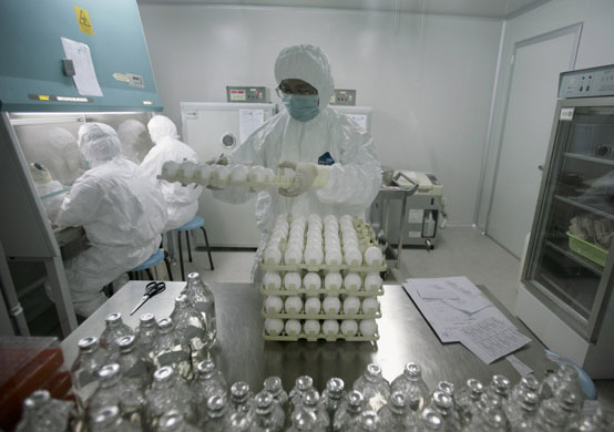 24 hours: Beijing, China: A technician holds a tray of eggs
