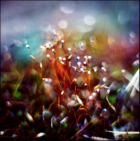 Minamitane folio review: Minamitane folio review