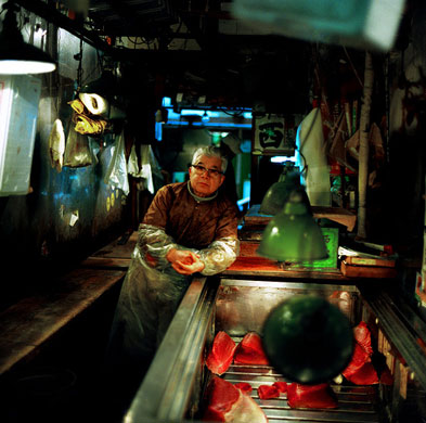 Minamitane folio review: Minamitane folio review