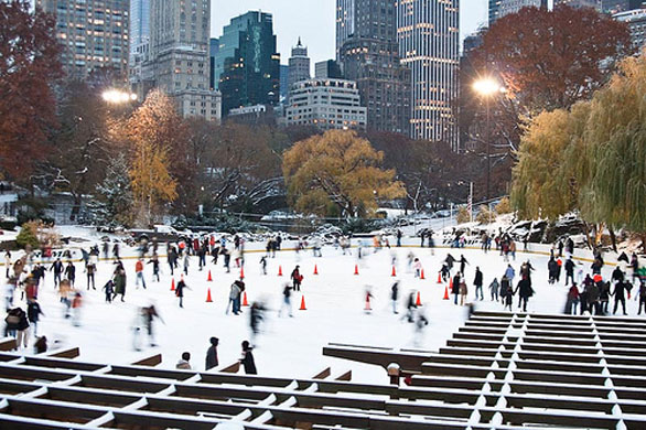 Rustmonster folio review: Rustmonster folio review