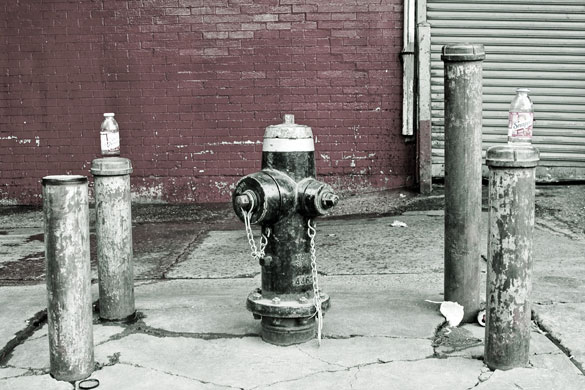 Rustmonster folio review: Rustmonster folio review