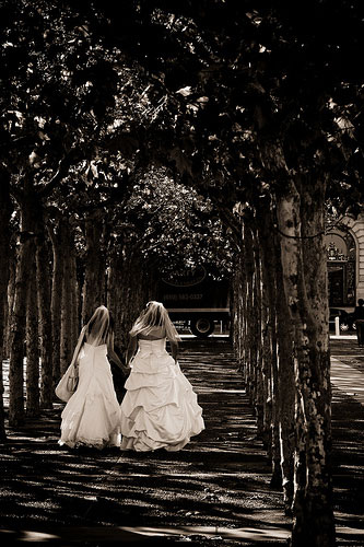 Rustmonster folio review: Rustmonster folio review