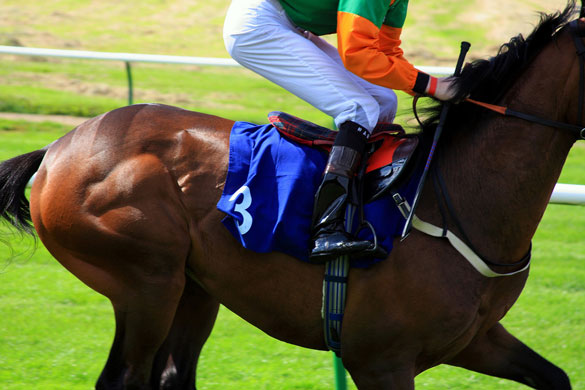 richardbrittain26 folio: richardbrittain26 folio review