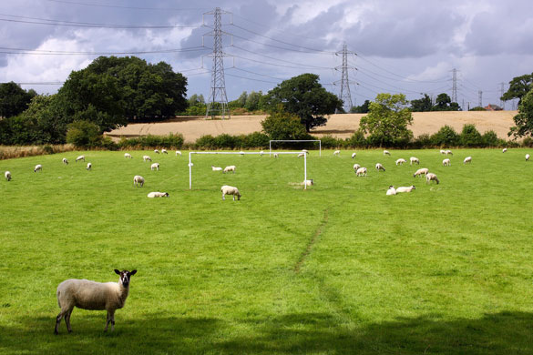 richardbrittain26 folio: richardbrittain26 folio review