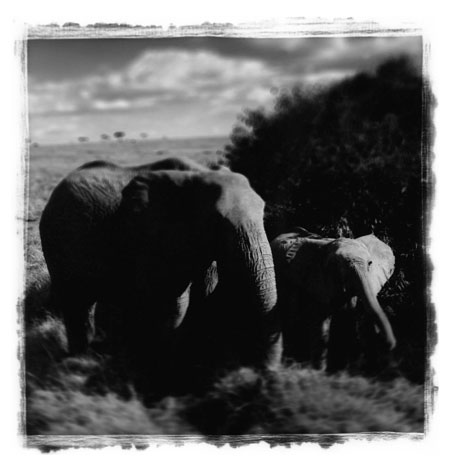 Antonio Gesmundo: Antonio Gesmundo at Rathbone Gallery