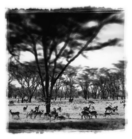 Antonio Gesmundo: Antonio Gesmundo at Rathbone Gallery