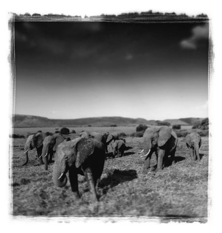 Antonio Gesmundo: Antonio Gesmundo at Rathbone Gallery