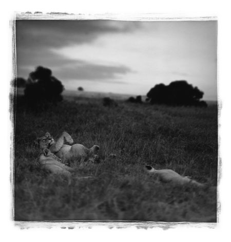 Antonio Gesmundo: Antonio Gesmundo at Rathbone Gallery