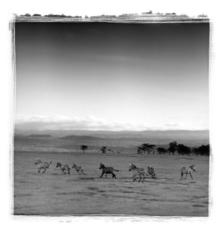 Antonio Gesmundo: Antonio Gesmundo at Rathbone Gallery