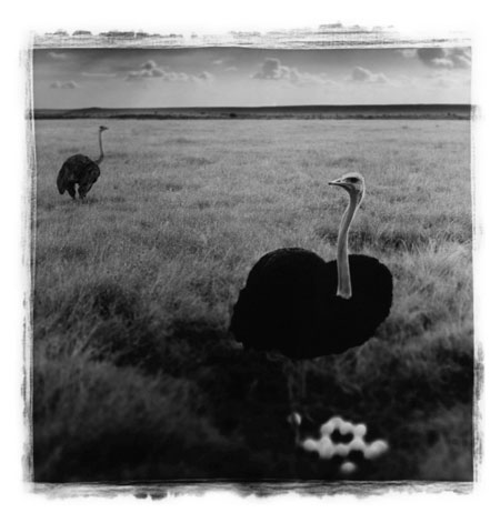 Antonio Gesmundo: Antonio Gesmundo at Rathbone Gallery