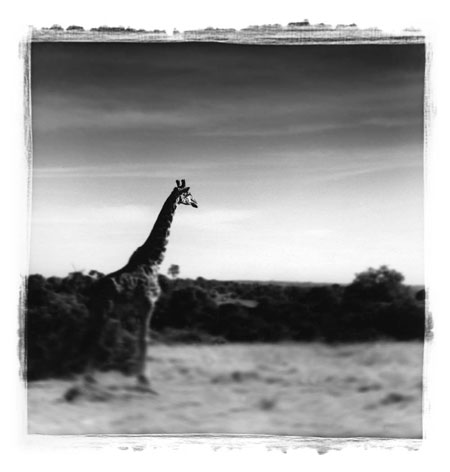 Antonio Gesmundo: Antonio Gesmundo at Rathbone Gallery