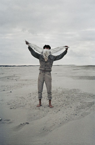 RADICAL NATURE: Lothar Baumgarten: Albatross, 1968. Radical Nature at the Barbican