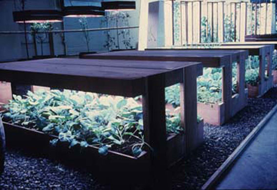 RADICAL NATURE: Newton Harrison: Full Farm. Radical Nature at the Barbican