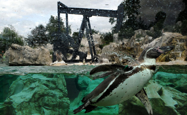 Trouble in Paradise: Steinbrener/Dempf  Sculptures At The Animal Enclosures at Vienna Zoo
