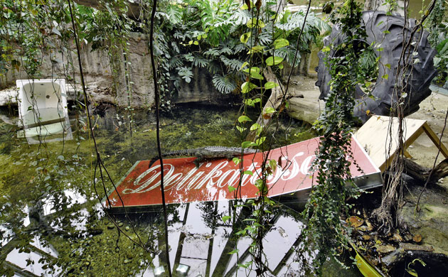 Trouble in Paradise: Steinbrener/Dempf  Sculptures At The Animal Enclosures at Vienna Zoo