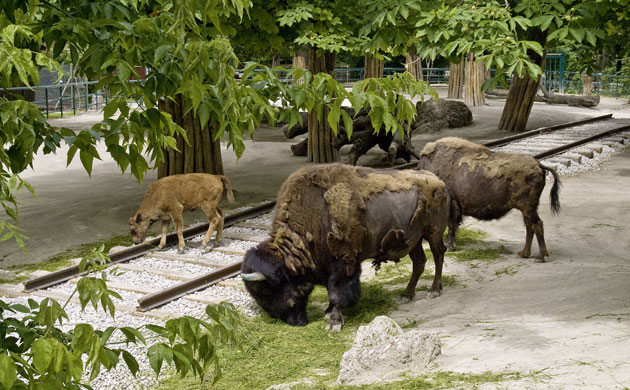 Trouble in Paradise: Steinbrener/Dempf  Sculptures At The Animal Enclosures at Vienna Zoo