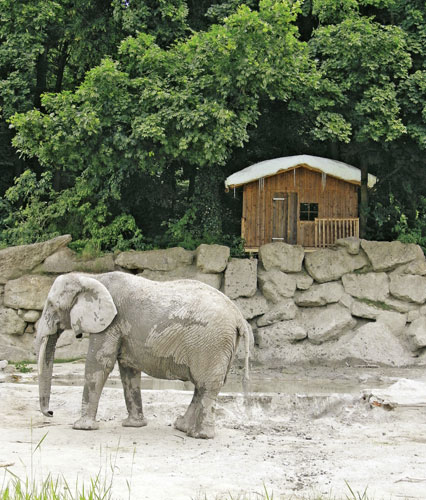 Trouble in Paradise: Steinbrener/Dempf  Sculptures At The Animal Enclosures at Vienna Zoo