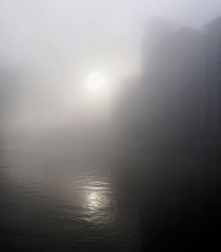 Readers pictures softness: Weekend readers' pictures: SOFTNESS by Angus Stewart