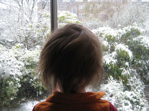 Readers pictures softness: Weekend readers' pictures: SOFTNESS by Michael Nollet