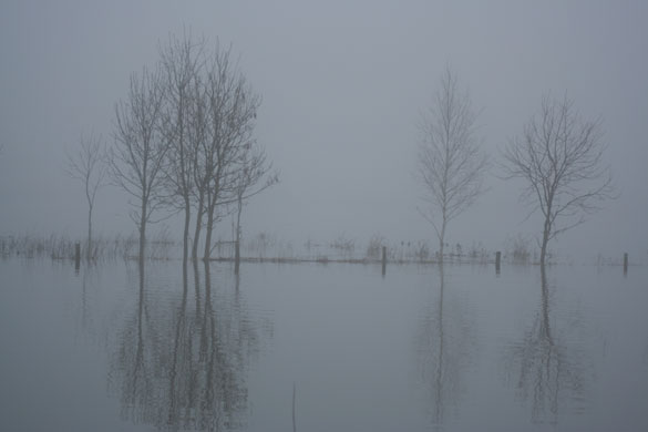 Readers pictures softness: Weekend readers' pictures: SOFTNESS by Gill Parrish