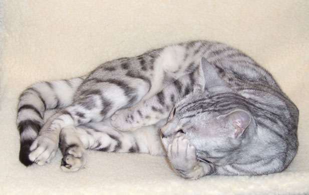 Readers pictures softness: Weekend readers' pictures: SOFTNESS by Terry Robinson