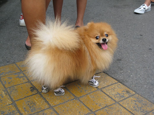 Readers pictures softness: Weekend readers' pictures: SOFTNESS by Sarah Perry