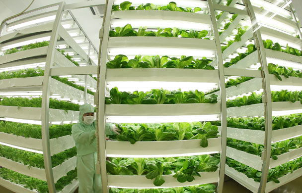 24 hours in pictures: Plant Factories Propose A New Style Of Agriculture Japan