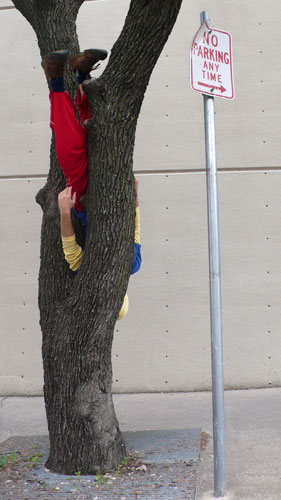 Willi Dorner's Bodies: Willi Dorner's Bodies In Urban Spaces: Austin, USA