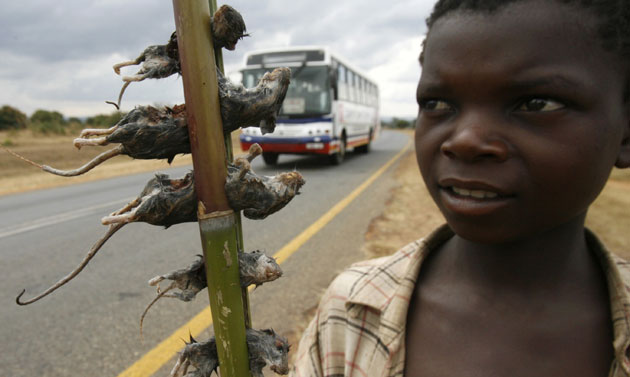 24 hours in pictures: Lilongwe, Malawi: A boy displays boiled rats for sale