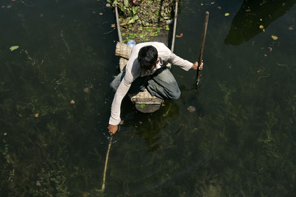 24 hours in pictures: A Kashmiri man manually removes weeds from Dal Lake in Srinagar