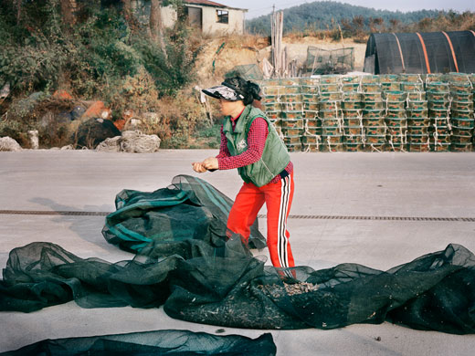 blindeyetom's portfolio: woman gathers up nets blindeyetom's portfolio