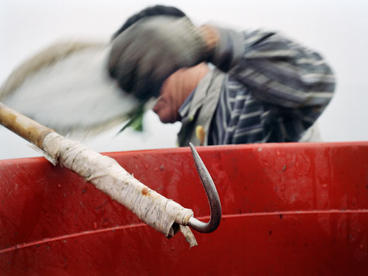 blindeyetom's portfolio: Oh, Young Keun sorting catch blindeyetom's portfolio 