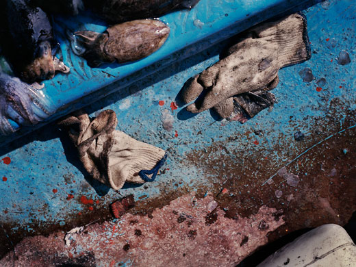 blindeyetom's portfolio: Gloves lie discarded blindeyetom's portfolio