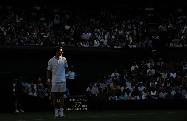 tom wimbledon: Andy Murray