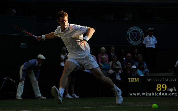 tom wimbledon: Andy Murray