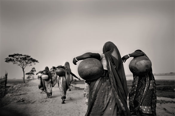 Shrimp farming: A quest for water