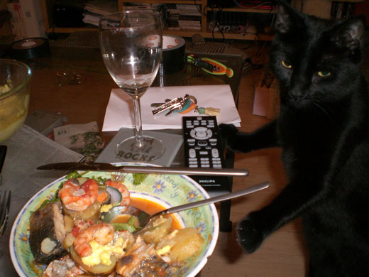 Allegra McEvedy fish: MissWhiplash's feline friend